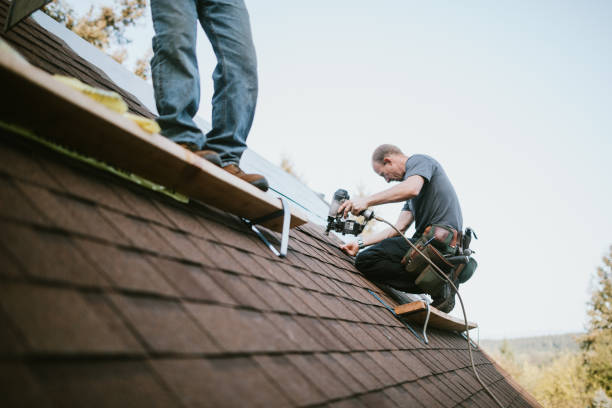 Best Storm Damage Roof Repair  in Johnsburg, IL